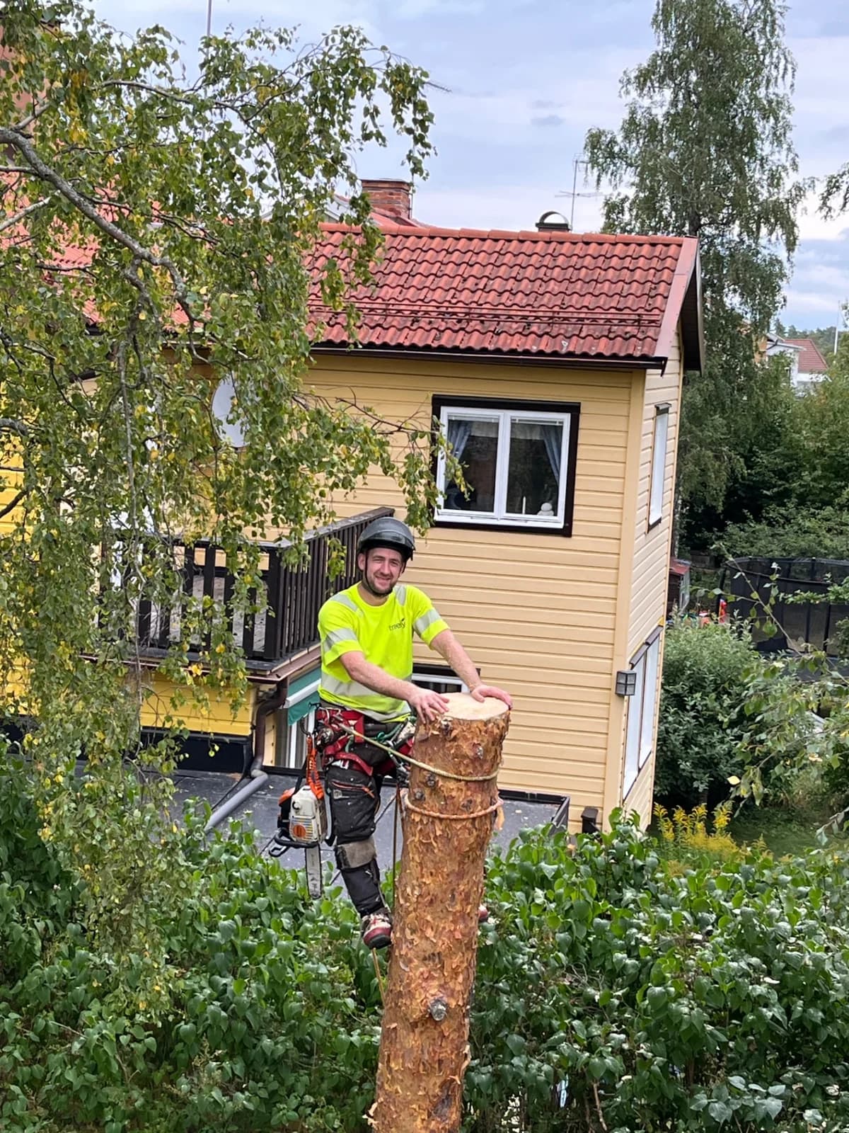 Mike Jackson van Treely in werkuitrusting hoog in een boom naast een huis.